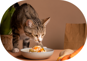 img-confia-en-lo-que-comen